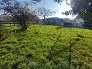 Besné 44160 Achat / Vente terrain