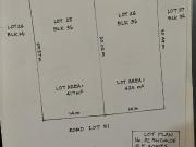 BEST DEAL! BF HOMES PARANAQUE RESIDENTIAL/COMMERCIAL LOT