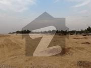 Best oppoortunity For Investor & Builder 12 Marla...