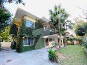 Best Options For House Is Available For rent In E 7