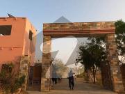 Best Plot For Sale