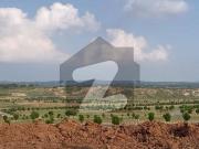Best Price! 1 Kanal Plot in Sector B3, DHA Phase 6...