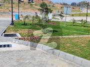 South Face Level & Solid Land Possession Able Plot For Sale!