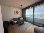 Best View in Vienna, modern Danubeflats tower, Danube &...