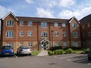 Bethel Grove, Aigburth, Liverpool, Merseyside L17, 3 bed...