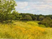 Bethoncourt 25200 Programme neuf terrain neuf à vendre