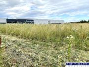 Betriebsbaugrund auf Basis Baurecht direkt an der B 1...