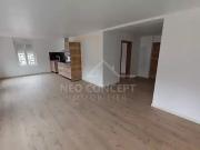 Betschdorf 67660 Location appartement 3 pièces t3