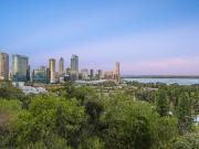 Between Canopy and Skyline