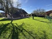 Beutal en exclusivité