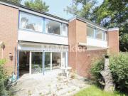 Bezugsfrei: Gepflegtes 3,5 Zi. Reihenmittelhaus mit...