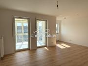 Bezugsfreie 3 Zimmer Wohnung + TG Stellplatz im Hechtviertel