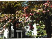 Bezugsfreie sonnige 4 Zimmer Dachgeschossmaisonette mit... Bezugsfreie sonnige 4 Zimmer Dachgeschossmaisonette mit...