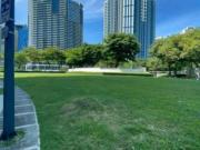 BGC LOT FOR LEASE