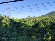 Bgy. Manalo, Puerto Princesa 3.2796 Hectare Agricultural...