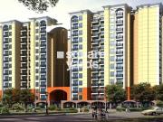 Bharat Colony Nahar Par F 4 Bedroom 900 Sq. Ft....