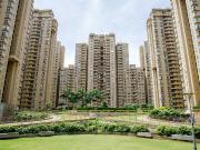 Bhartiya City Nikoo Homes II 2 Bedroom 1106 Sq. Ft....