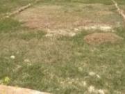 Bhimpor 200 Sq.Yd. Plot in Dumas Surat Listing ID #8710
