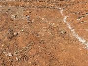Bhoomi Plots In Belondekhar,Belondakhar Residential Plot...