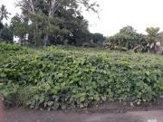 BI 023 | Industrial Land Perfect For Bodega For Sale...