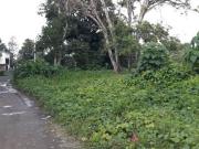 BI 024 | Industrial Land Perfect For Bodega For Sale...