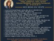Biens en vente