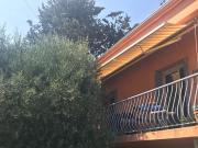 Bienvenu aux Myrtilles !