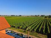 wunderschönes Zweifamilienhaus in idyllischer Lage | von...
