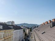 Dachterrassen Wohnung in der Eisenhandstraße