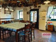 Bifamiliare QUADRILOCALE in affitto a Isola Vicentina Vi