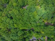 Big Canoe GA 30143 92982589