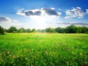 Biganos Vente Terrain 33