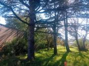 Biganos Vente Terrain 33