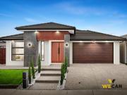 BIGGER IS BETTER TWO ON 1