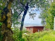 bilocale 3600mq bilocale 3600mq