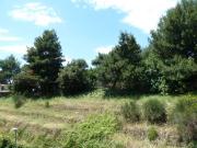 BILOCALE AFFITTO PERUGIA OLMO