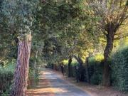 Bilocale arredato Ardeatino, colombo, garbatella