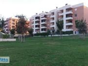 Bilocale arredato Borghesiana, finocchio, tor bella...