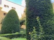 Bilocale arredato Buenos aires, indipendenza, p.ta venezia