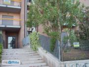 Bilocale arredato Campomarino