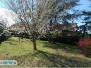 Bilocale arredato Centro