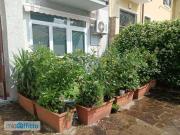 Bilocale arredato Chiesa rossa, cermenate, ripamonti