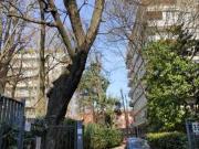 Bilocale arredato Chiesa rossa, cermenate, ripamonti