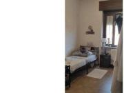 Bilocale arredato Cittadella, villaggio dalmazia e...