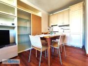 Bilocale arredato con terrazzo Cenisia