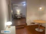 Bilocale arredato con terrazzo Centro