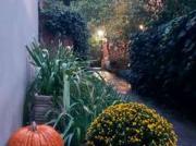 Bilocale arredato con terrazzo Centro