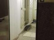 Bilocale arredato con terrazzo Centro borgo orefici