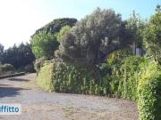 Bilocale arredato con terrazzo Diamante