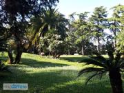 Bilocale arredato con terrazzo Eur, laurentino,... Bilocale arredato con terrazzo Eur, laurentino,...